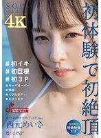 朝ドラ系現役アイドルT○kT○ker 西元めいさ 初体験で初絶頂 ＃初イキ ＃初巨根 ＃初3P ＃キャパオーバー ＃快感 ＃くびれボディ ＃ビクッビク【圧倒的4K映像でヌク！】